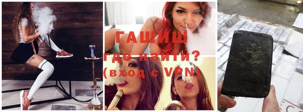тгк Ельня