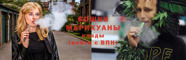 тгк Ельня
