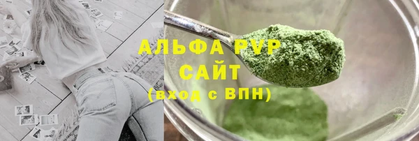 тгк Ельня