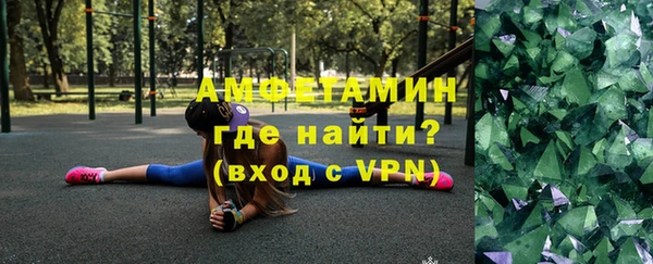 тгк Ельня