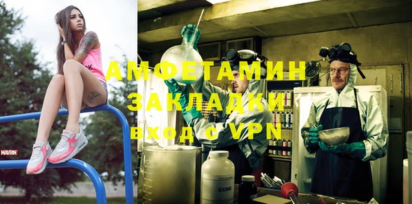 тгк Ельня