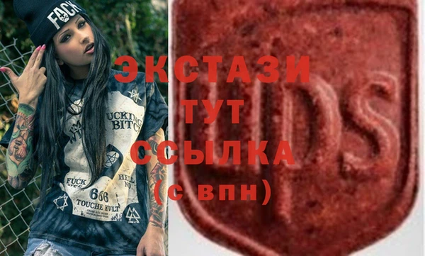 тгк Ельня