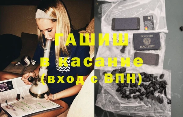 тгк Ельня