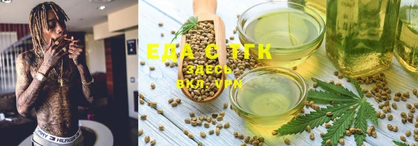 тгк Ельня