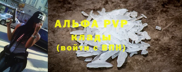тгк Ельня