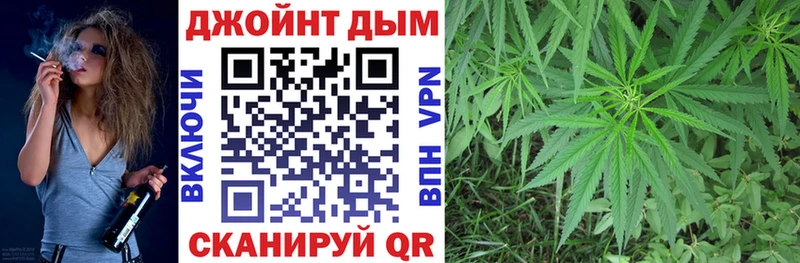 Бошки Шишки план  Зеленокумск 